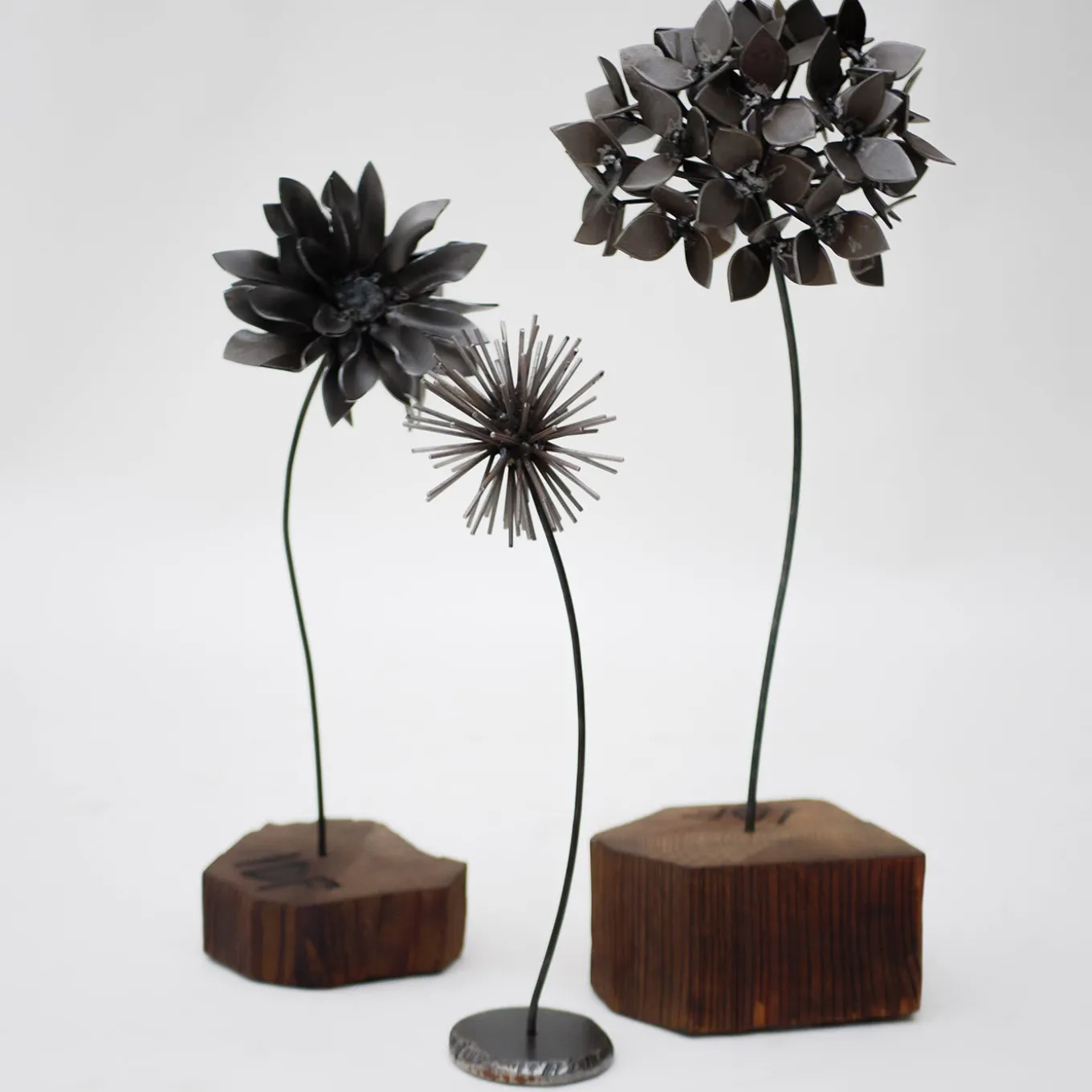Scultura Ortensia