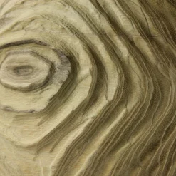 Scultura sferica di locuste nere di forma cava Impossiballs