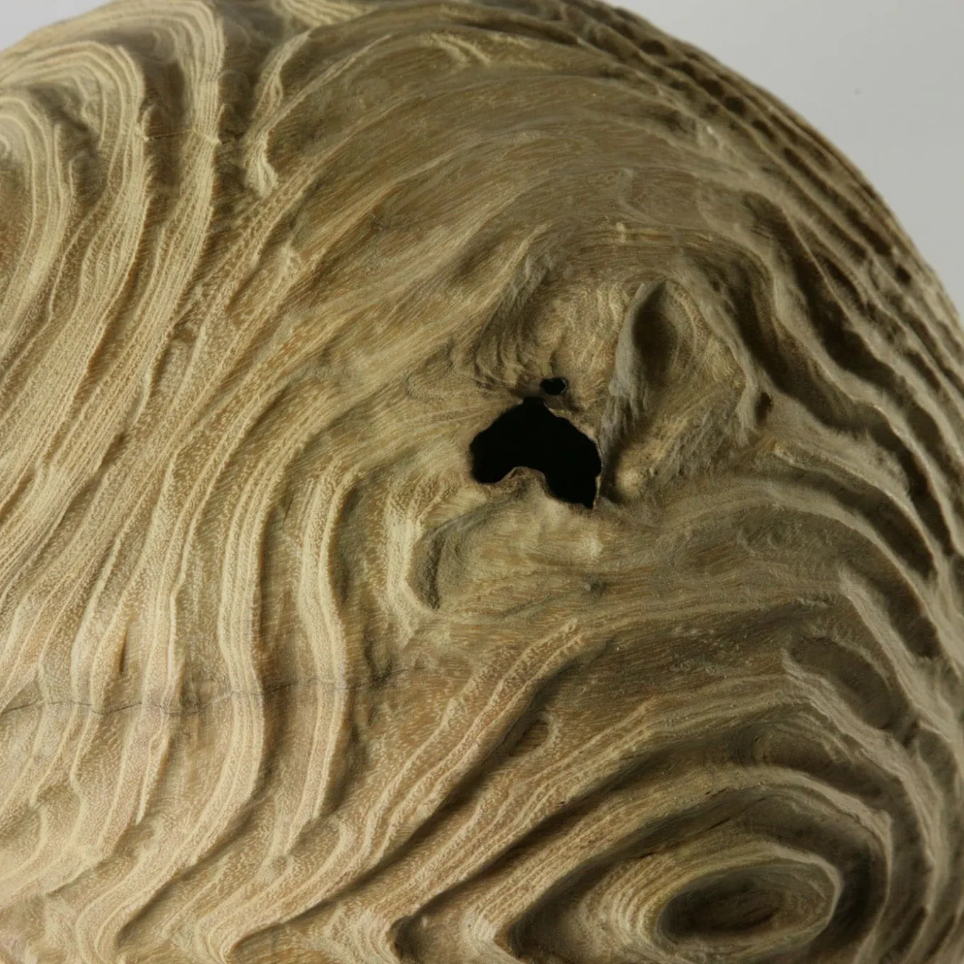 Scultura sferica di locuste nere di forma cava Impossiballs