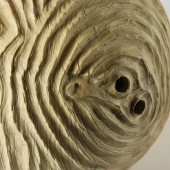 Scultura sferica di locuste nere di forma cava Impossiballs