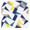 Set Di 25 Piastrelle Tartan Blu Tipo 2
