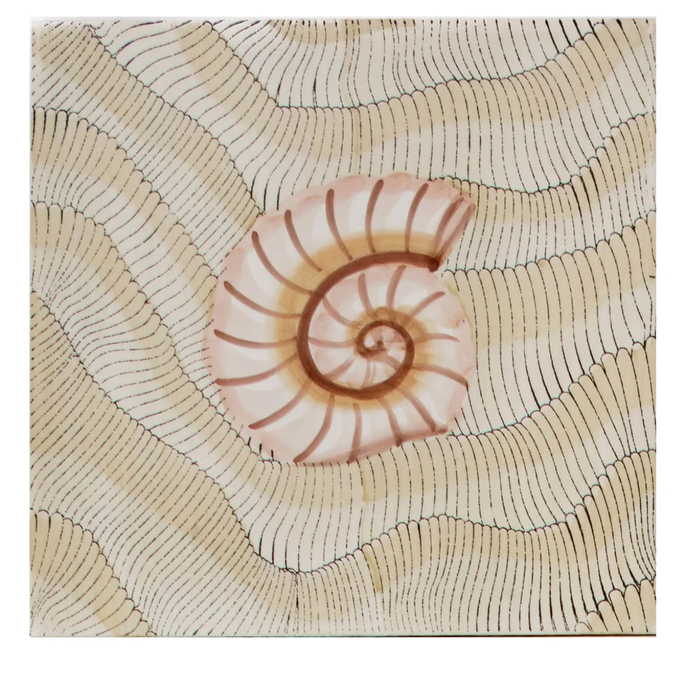 Set di 25 piastrelle Thalassa Avana Shell #D