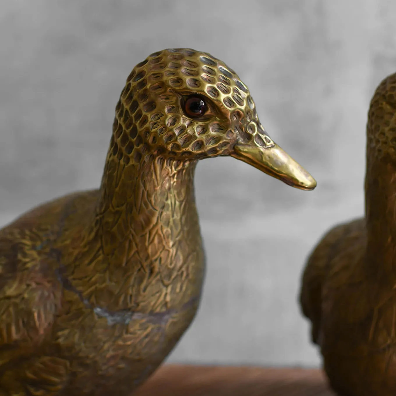 Set di 2 Sculture Anatra in Ottone