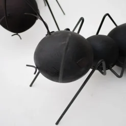 Set di 2 sculture Formiche