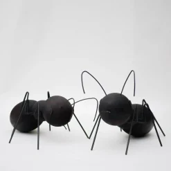 Set di 2 sculture Formiche
