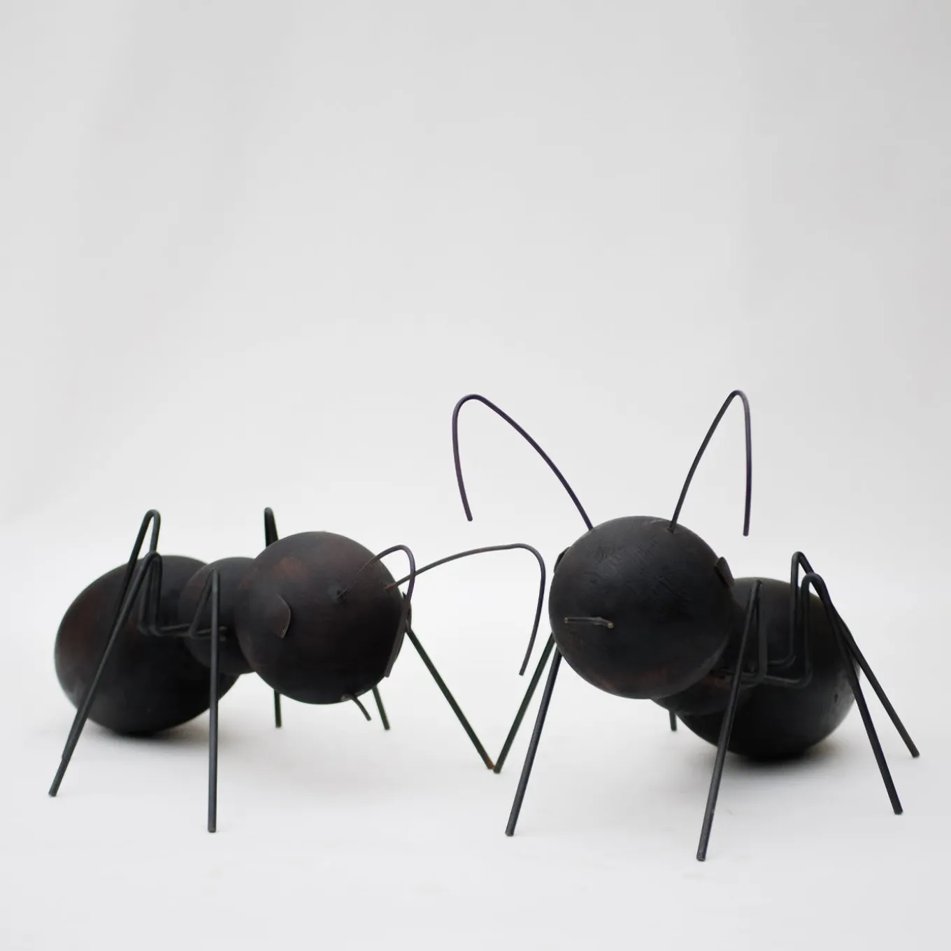 Set di 2 sculture Formiche