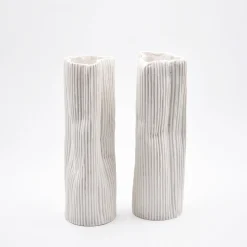 Set di 2 vasi decorativi