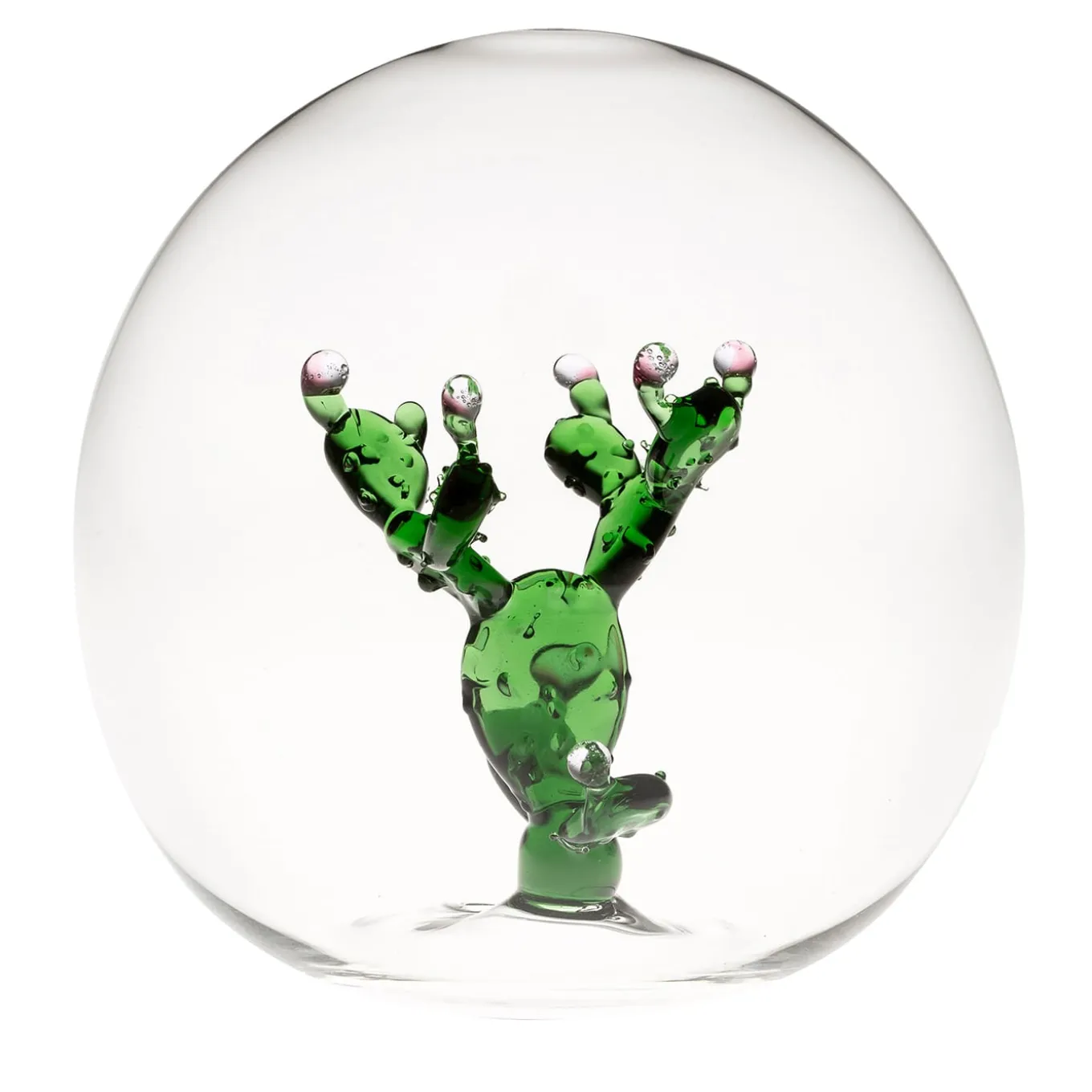 Sfera di cactus Mini Oasis