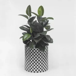 Splot4flowers Cachepot ottico nero