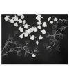 Spring White Row Carta da parati