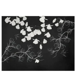 Spring White Row Carta da parati
