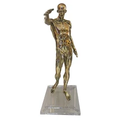 Statuetta Anatomia in ottone