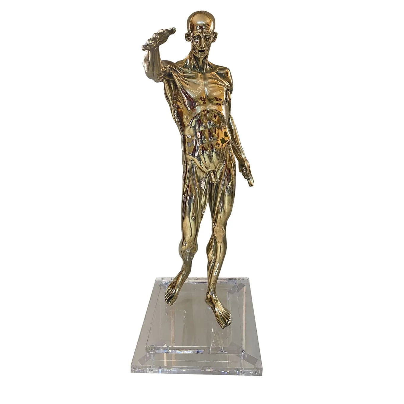 Statuetta Anatomia in ottone