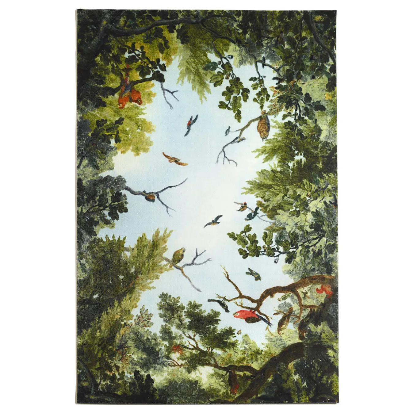 Tappeto Cielo & Terra Bird di Marcantonio