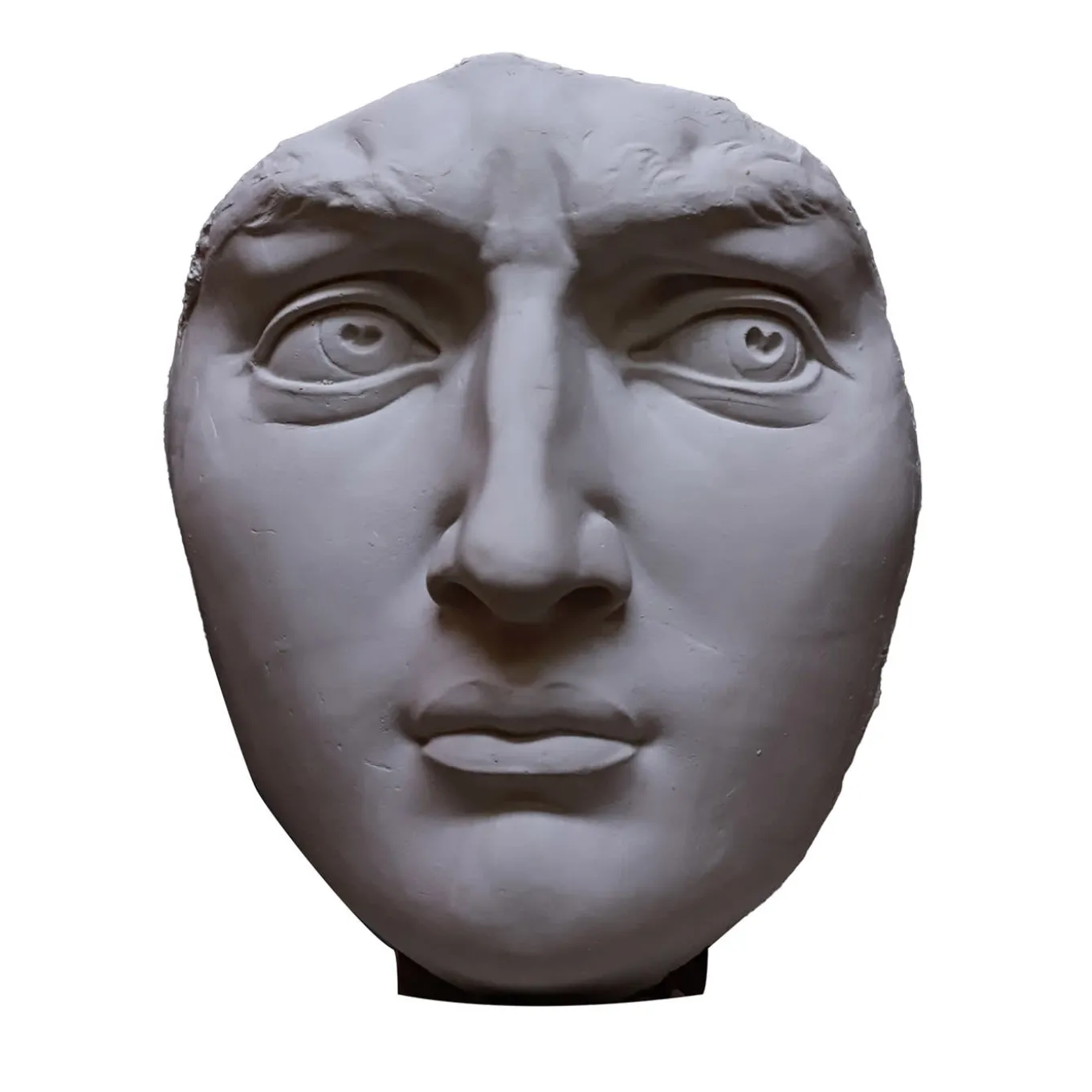 Testa in gesso del David di Michelangelo