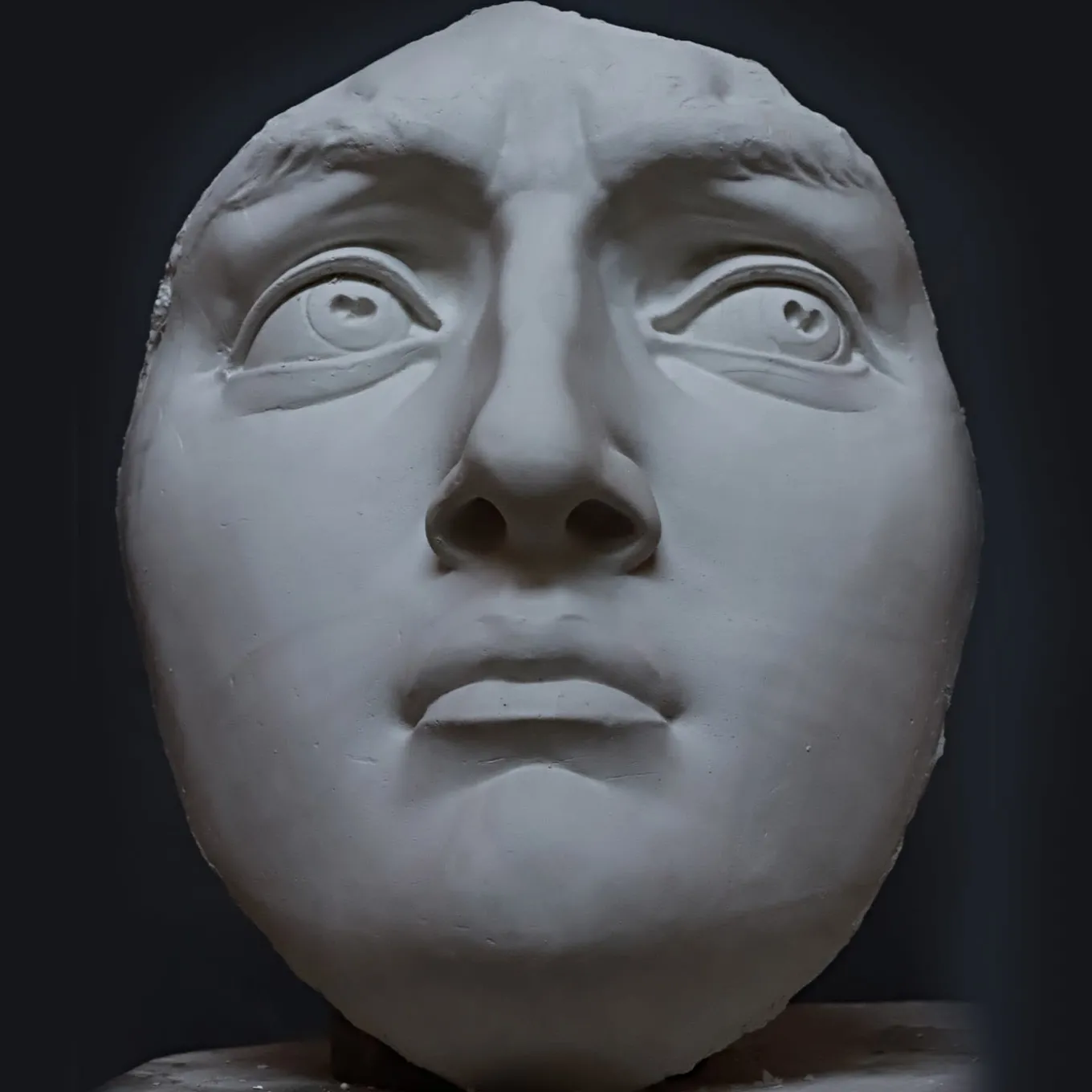 Testa in gesso del David di Michelangelo
