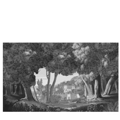Trompel'Oeil B Panorama Carta da parati