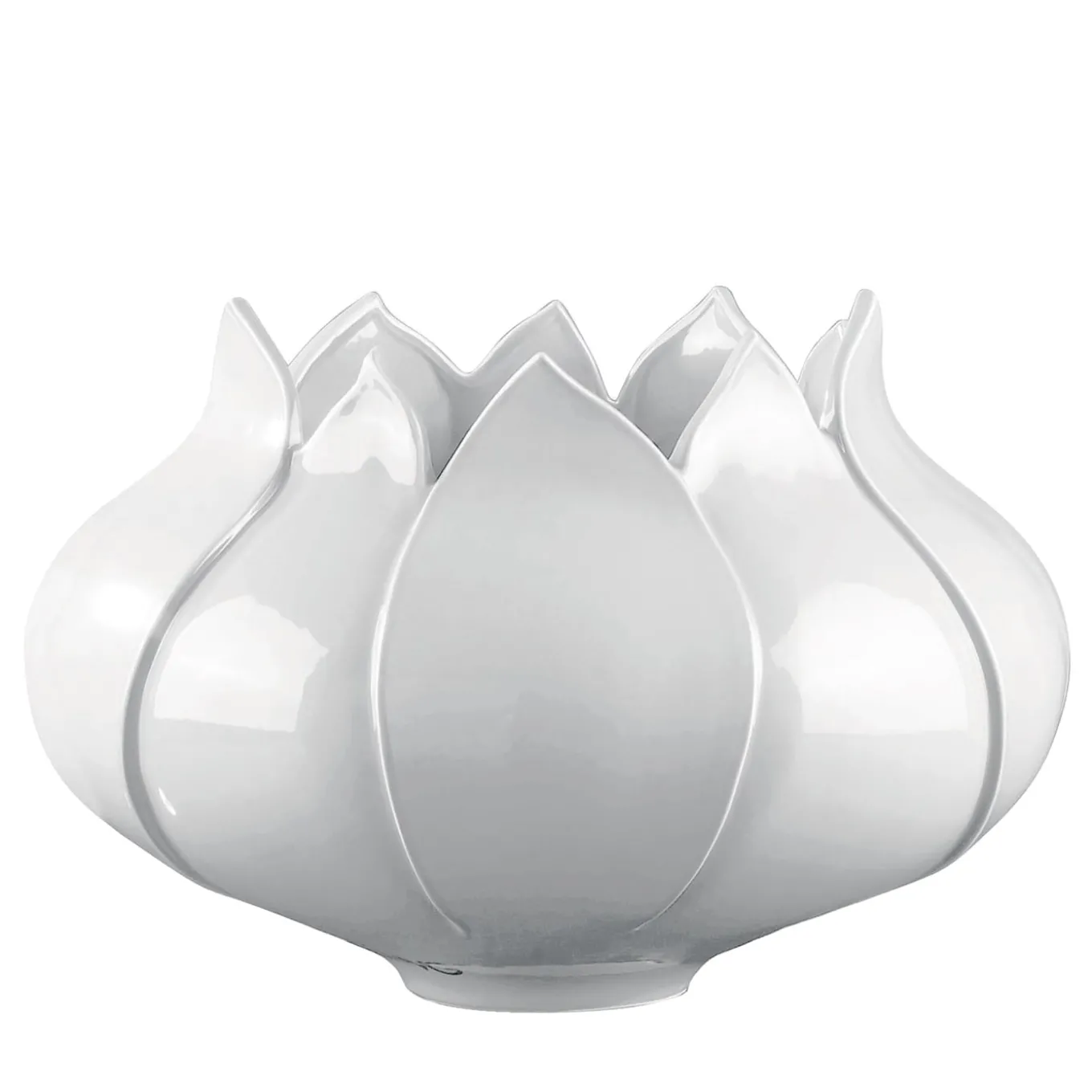 Tulipano Vaso piccolo bianco