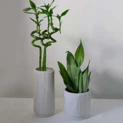 Vaso Aura piccolo