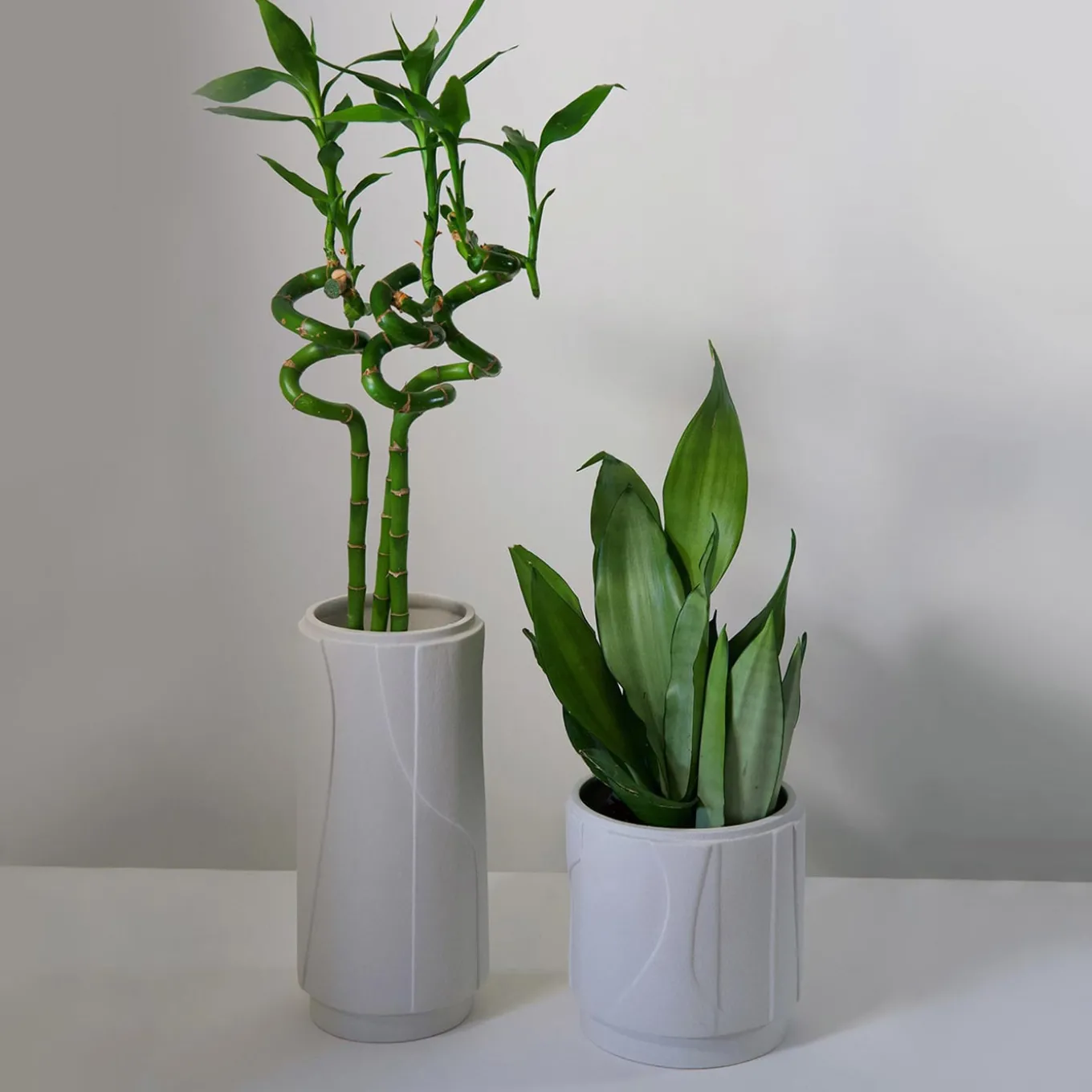Vaso Aura piccolo