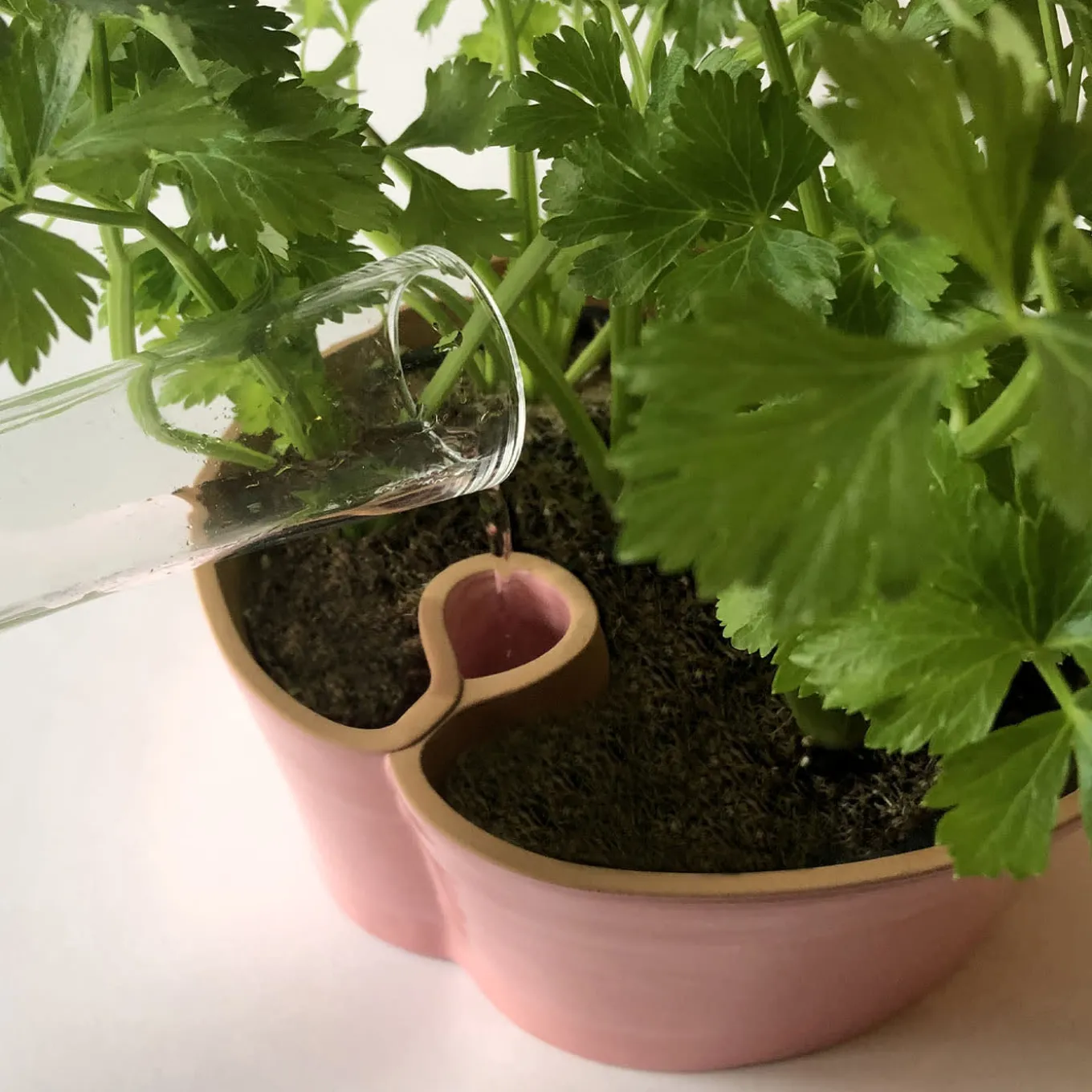 Vaso Bitubo rosa