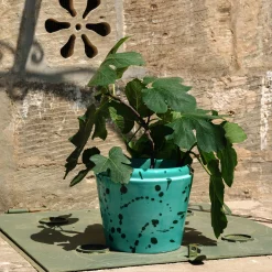 Vaso Cachepot in ceramica verde e acqua