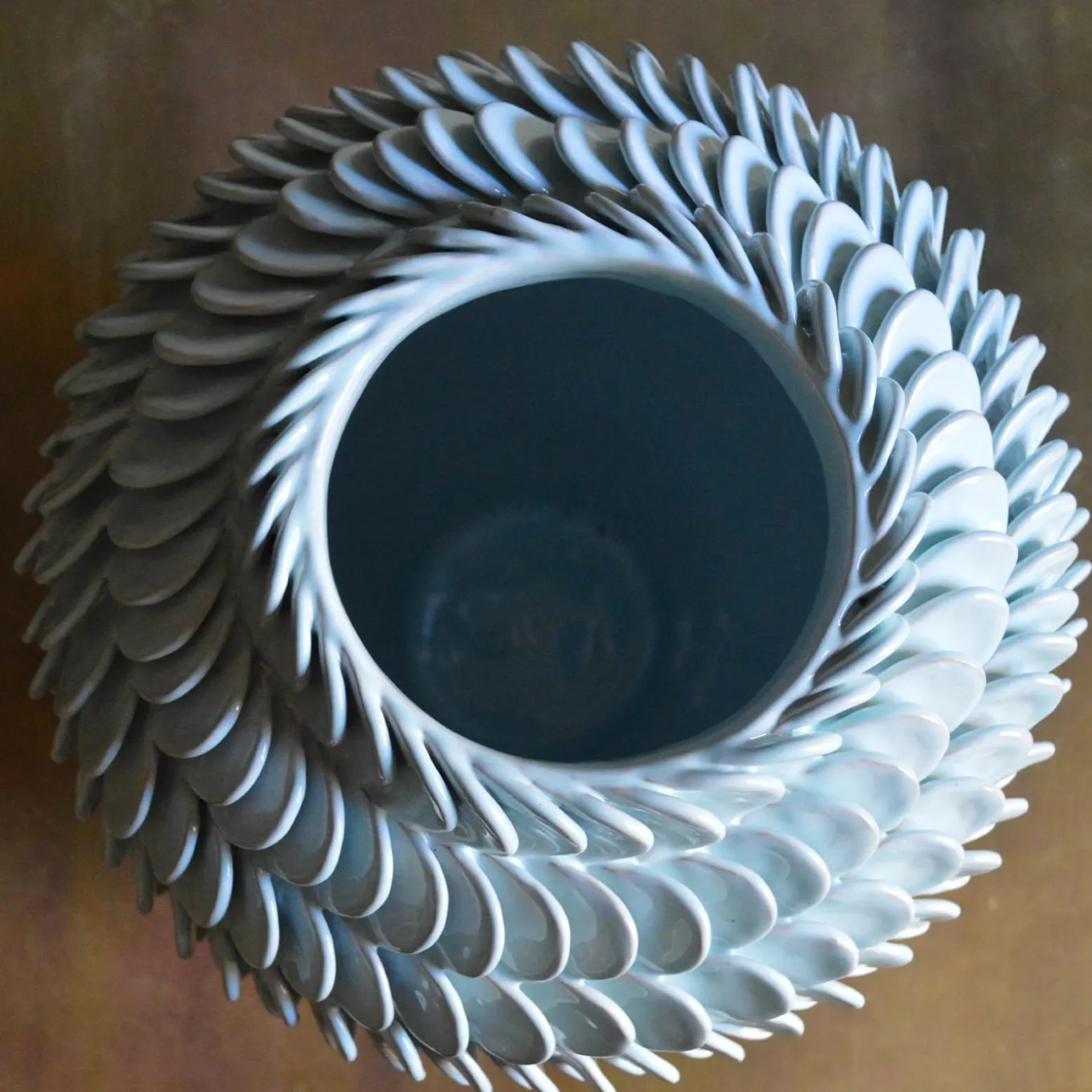 Vaso Calandrinia