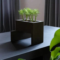 Vaso Chandigarh III