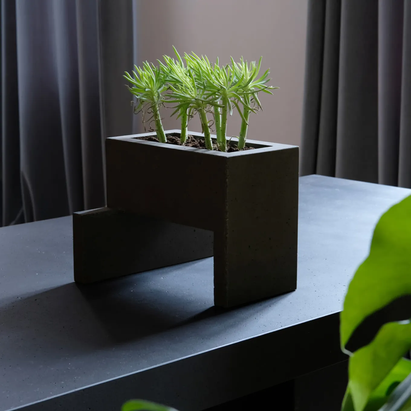 Vaso Chandigarh III