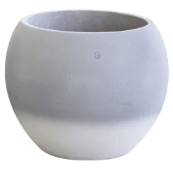 Vaso Cortina