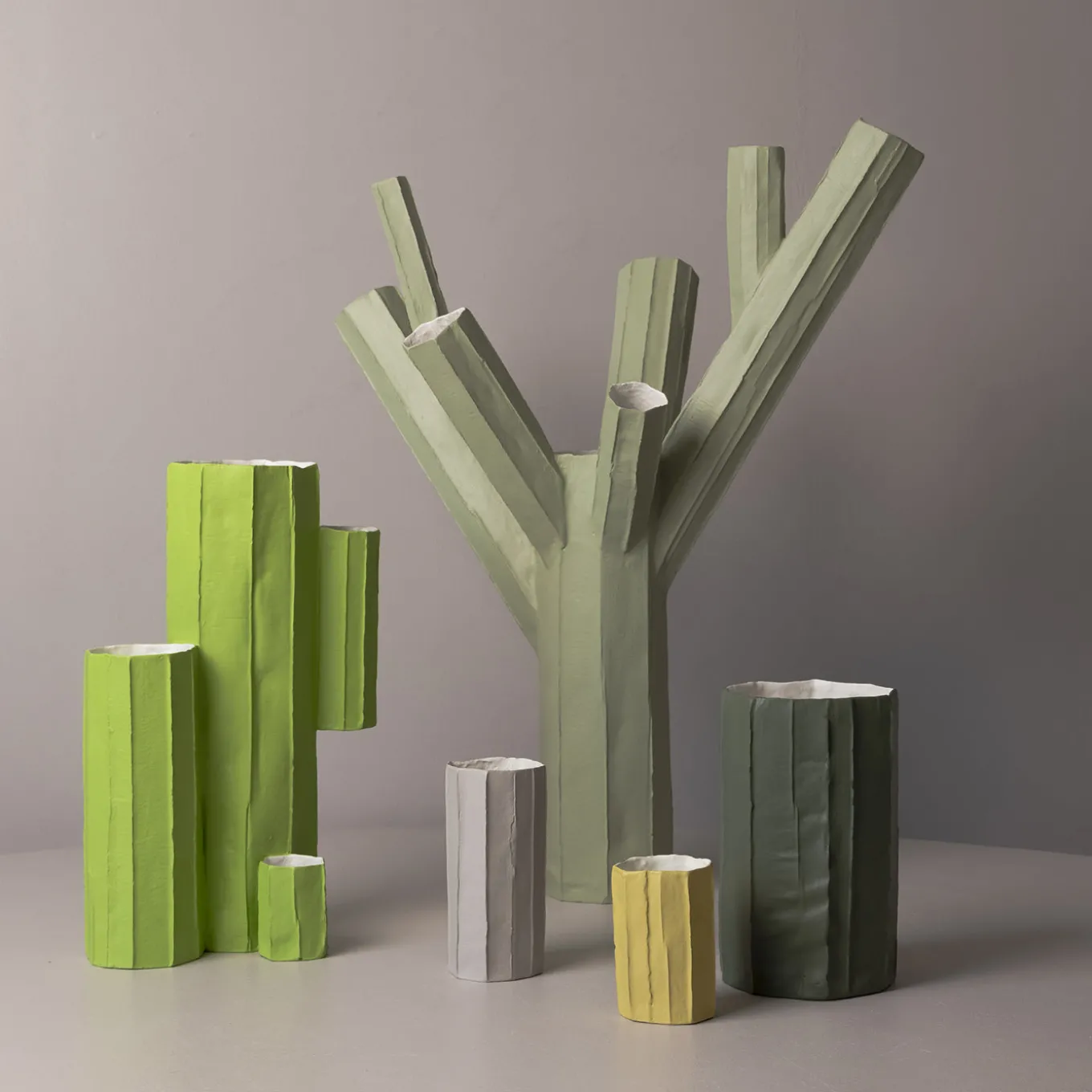 Vaso Decorativo Medio Cactus Corteccia E1/Primavera
