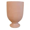 Vaso di anemoni
