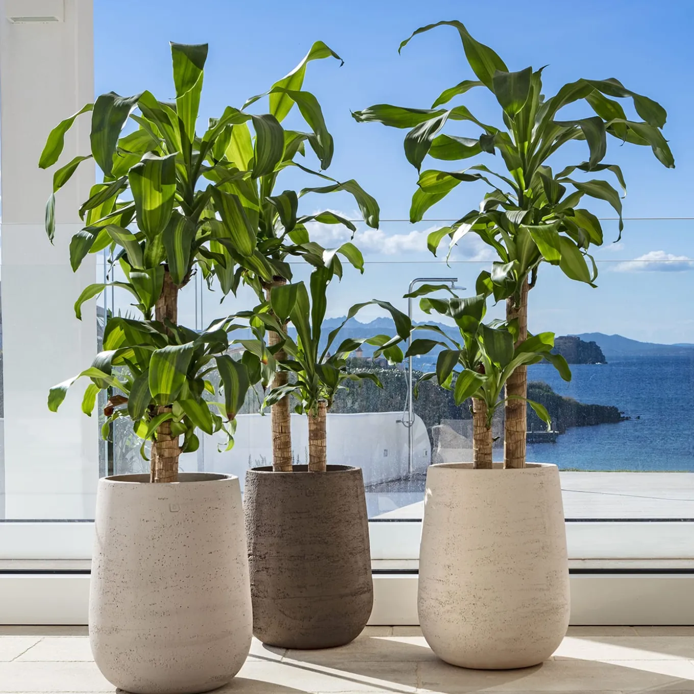 Vaso grigio Panarea