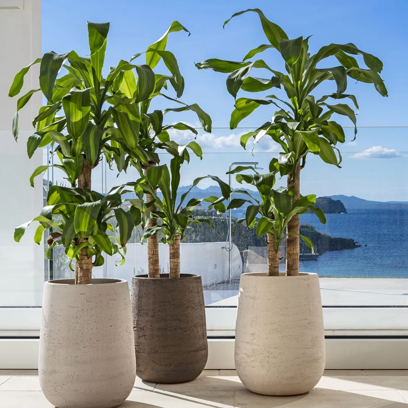 Vaso grigio Panarea