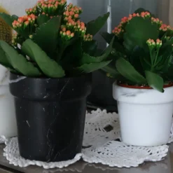 Vaso per mini cactus in marmo bianco di Calcutta