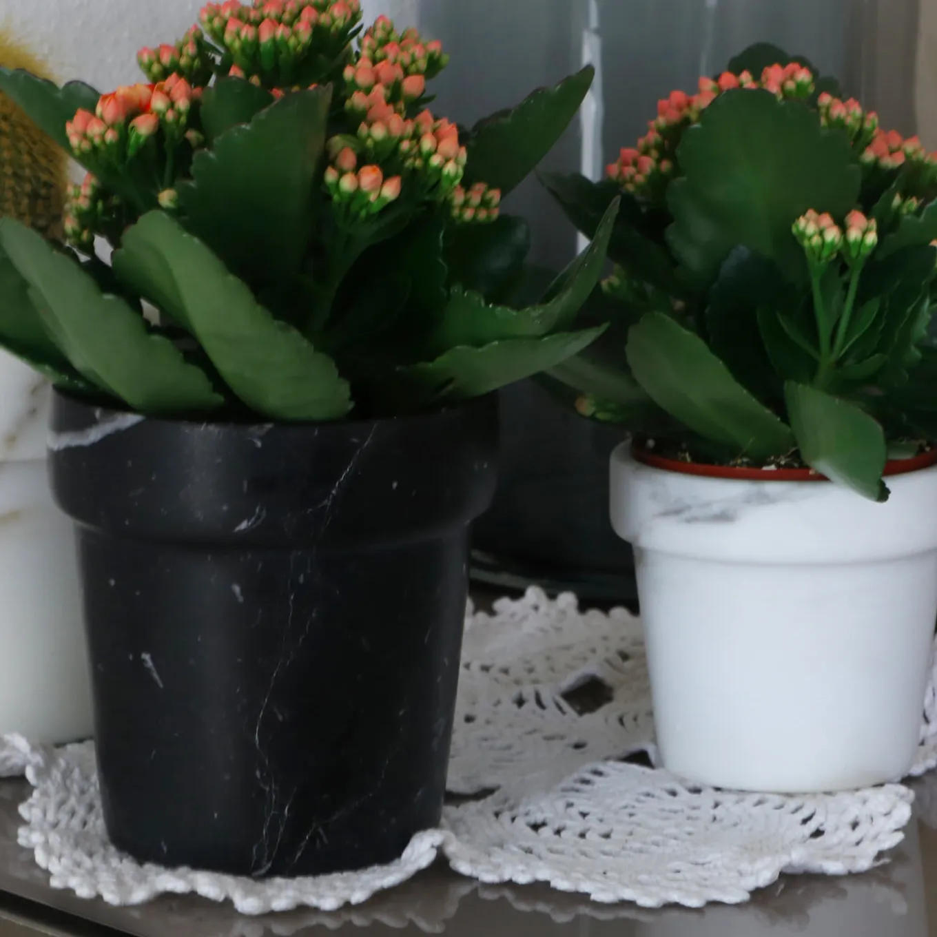 Vaso per mini cactus in marmo bianco di Calcutta