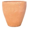 Vaso rigonfio