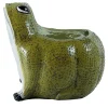 Videopoche verde rana