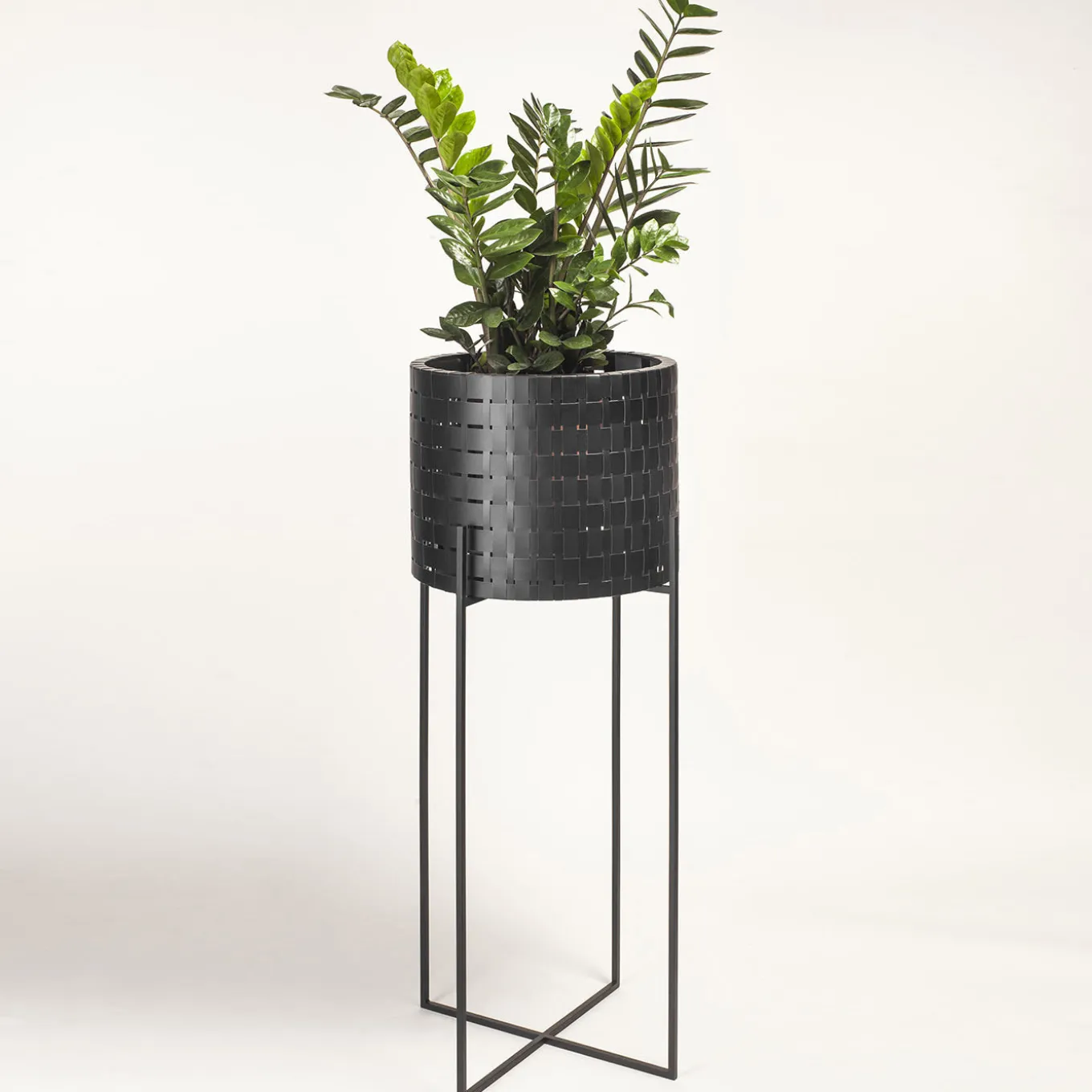 Vitis Nexum Alto Nero Abatellis Cachepot