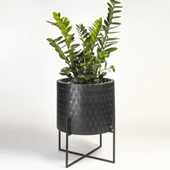 Vitis Nexum Piccolo Cachepot nero Abatellis