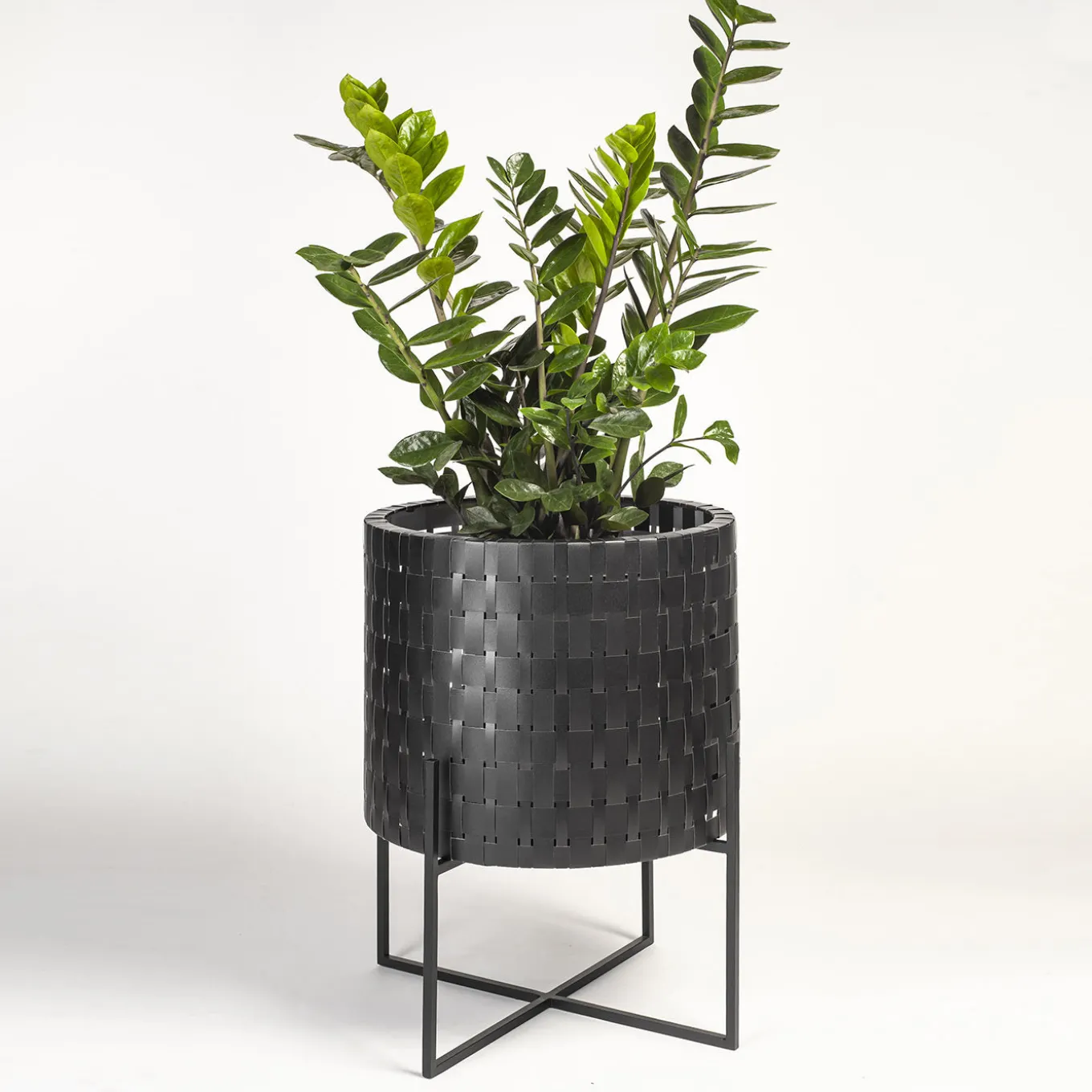 Vitis Nexum Piccolo Cachepot nero Abatellis